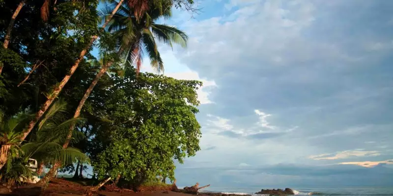 Costa Rica - Entdeckungsreise zu unberührten Nationalparks und lebendiger Kultur - Bild 20