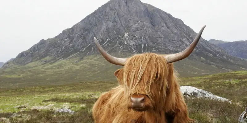 Schottland - West Highland Way - 8 Tage - Bild 1