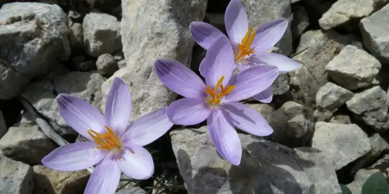 Die Highlights Menorcas erwandern - Bild 5