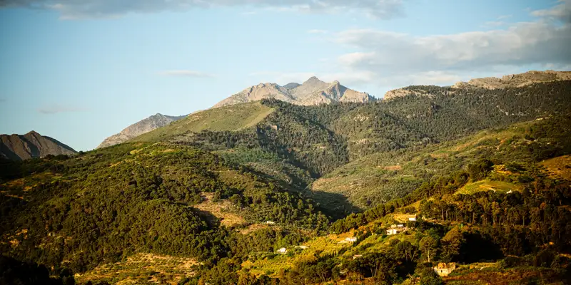 Andalusiens Highlights erwandern - Bild 7