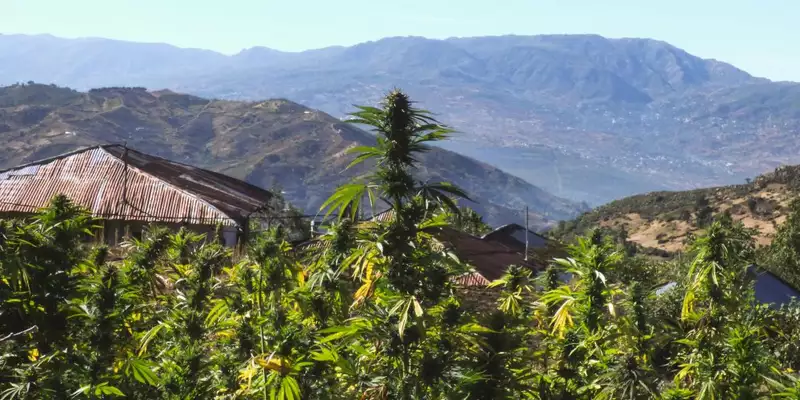 Marokko - Der wilde Norden und das Erbe von Al-Andalus - Bild 7