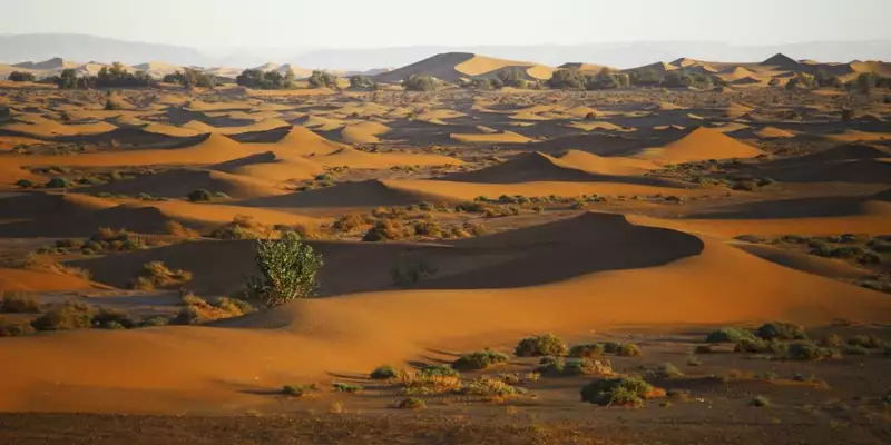 Magische Highlights Marokkos: Erkundung der Königsstädte und Sahara-Dünen - Bild 7