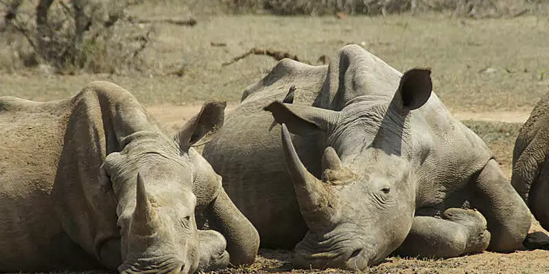 Südafrika - Drakensberge & Safari im Nordosten - Bild 2
