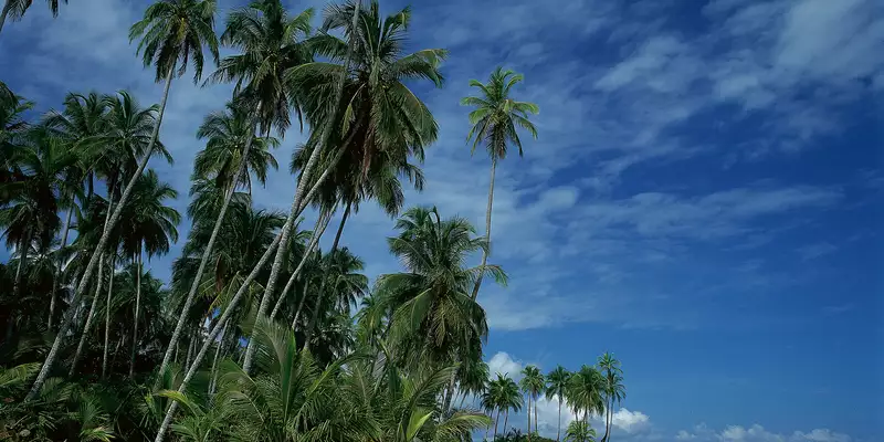 Costa Rica naturnah erwandern - Bild 14