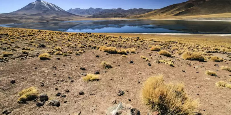 Chile - Das Land der Kontraste von Nord nach Süd - Bild 9