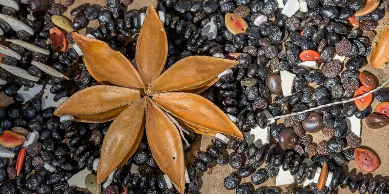 Namibia & Botswana - Tiervielfalt zwischen Wüstenbergen und Flussoasen - Bild 11