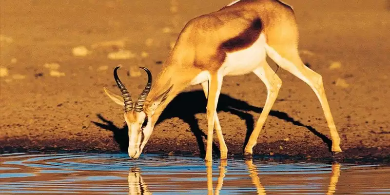 Namibia komfortabel erwandern - Bild 5