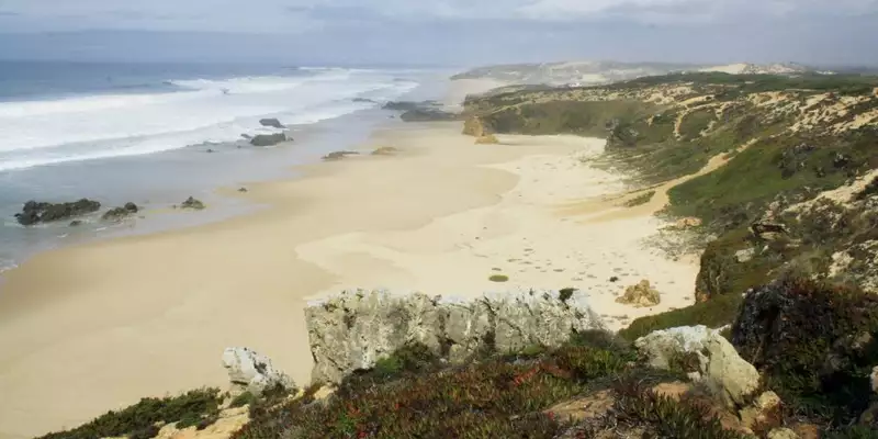 Entlang der Atlantikküste Portugals: Wilde Schönheit und bunte Hafenstädtchen - Bild 8