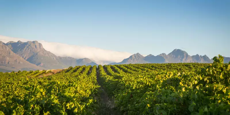 Südafrika komfortabel erwandern - Bild 2
