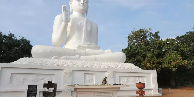 Magisches Sri Lanka - Eine Reise durch Geschichte, Natur und Kultur - Bild 10