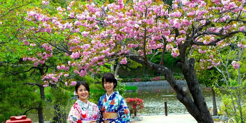 Japan: Kirschblüte oder Herbstlaub zaubern Farbenwunder - Bild 3