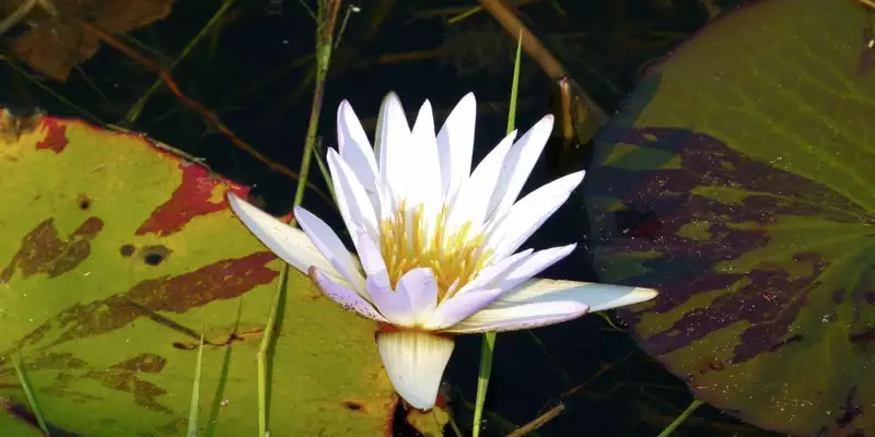 Namibia & Botswana - Tiervielfalt zwischen Wüstenbergen und Flussoasen - Bild 12