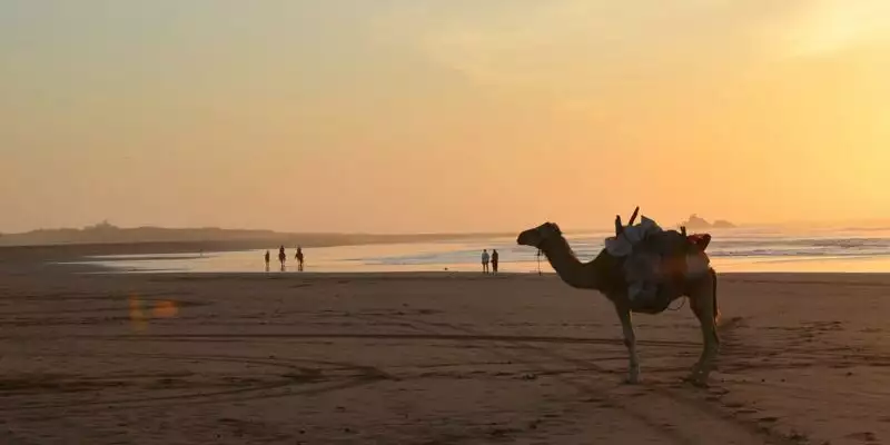 Marokko - Kameltrekking entlang des Atlantiks - Bild 6