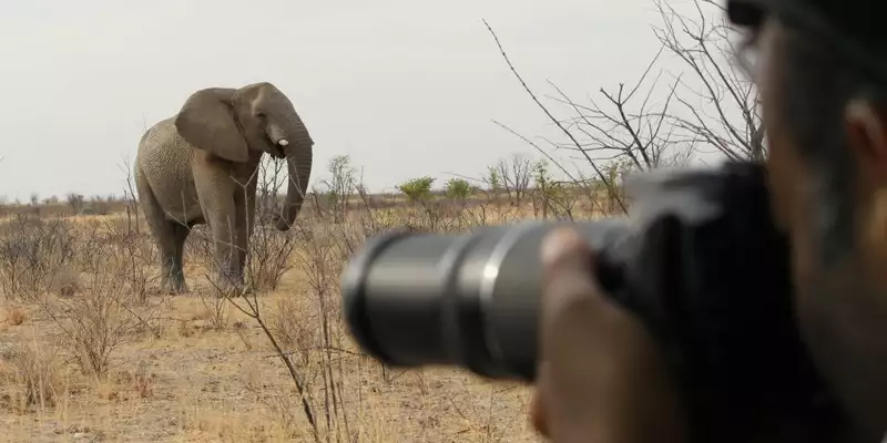 Namibias Naturwunder: Farbenpracht und grenzenlose Weite - Bild 8