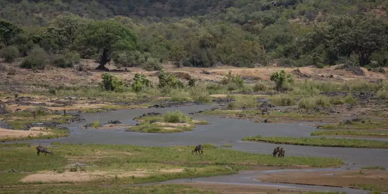 Südafrika - Afrikas Wildnis im Nordosten hautnah erleben - Bild 30
