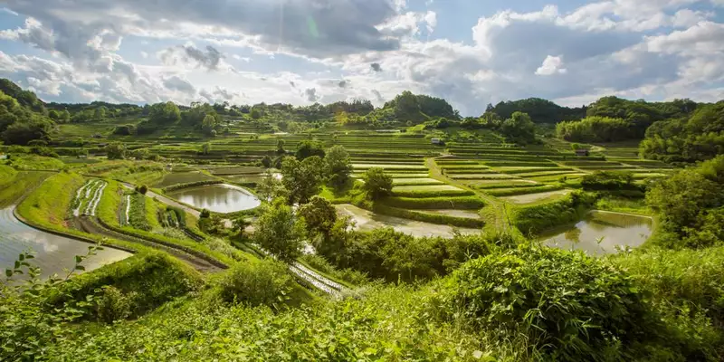 Japan - auf dem Gipfel des Fuji - Bild 5