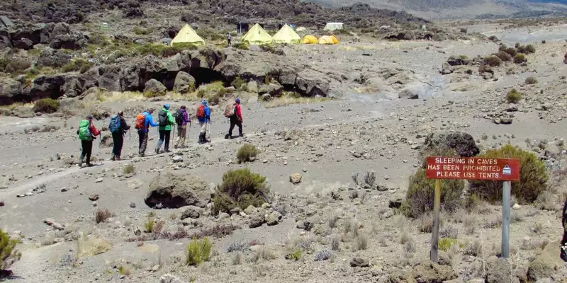 Kilimanjaro Lemosho-Route (Northern Circuit) - individuell - Bild 9