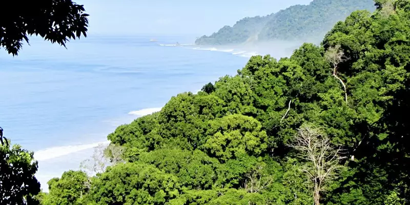 Costa Rica - Entdeckungsreise zu unberührten Nationalparks und lebendiger Kultur - Bild 16