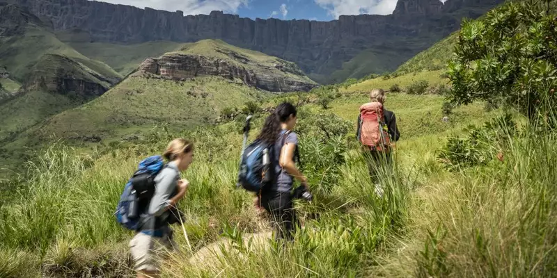 Südafrika - Afrikas Wildnis im Nordosten hautnah erleben - Bild 5
