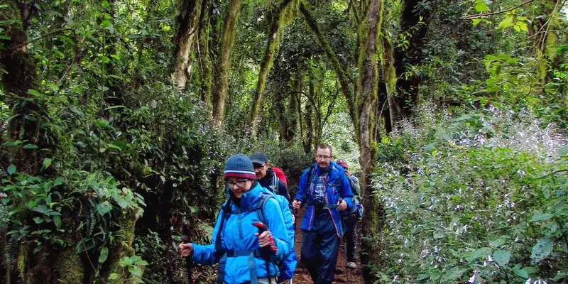 Kilimanjaro: Marangu-Route - Bild 13