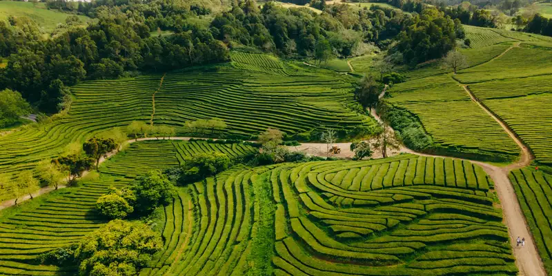 Azoren - Sao Miguels Highlights erwandern - Bild 12