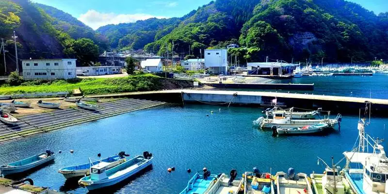 Japan - von Hokkaido bis Tokyo - Bild 10