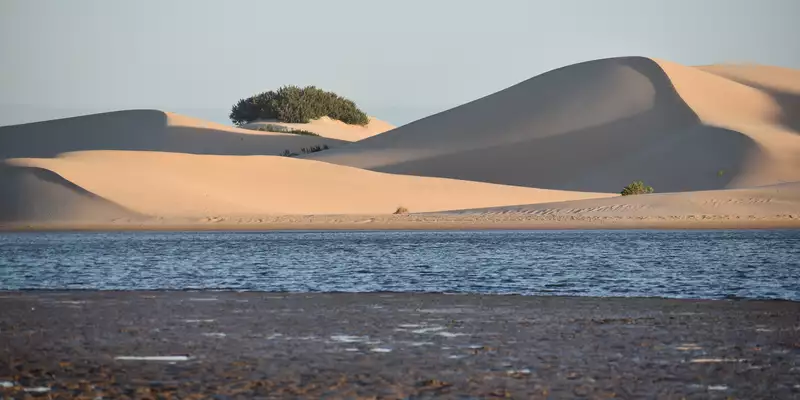 Südafrikas Highlights entdecken - Bild 4