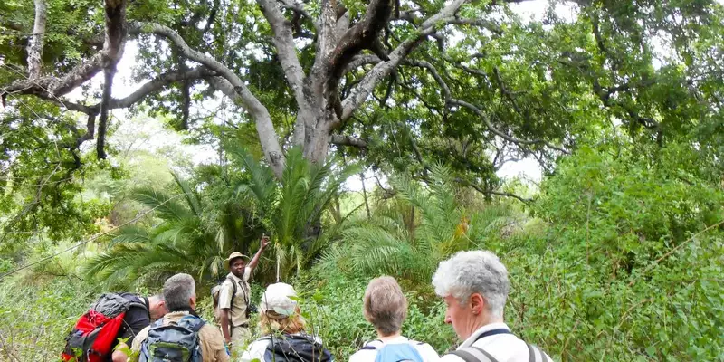 Südafrika - Afrikas Wildnis im Nordosten hautnah erleben - Bild 26
