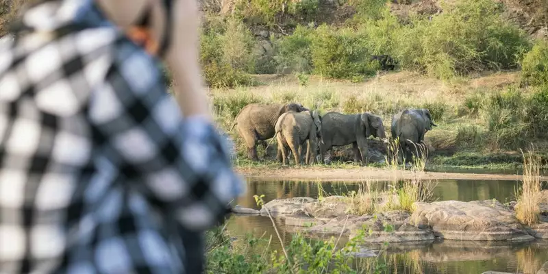 Südafrika - Afrikas Wildnis im Nordosten hautnah erleben - Bild 6