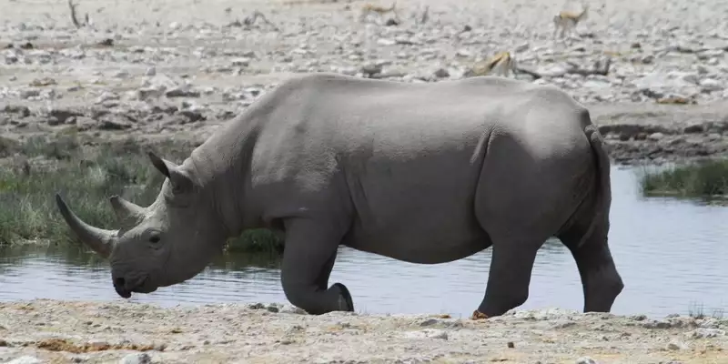 Südafrika, Namibia, Botswana, Simbabwe - Entdeckungsreise durch das südliche Afrika - Bild 8