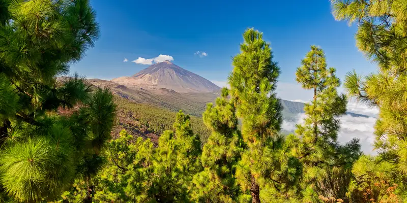 Teneriffa gemütlich erwandern - Bild 2
