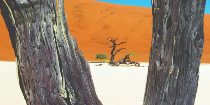 Namibias Highlights erleben - Bild 6