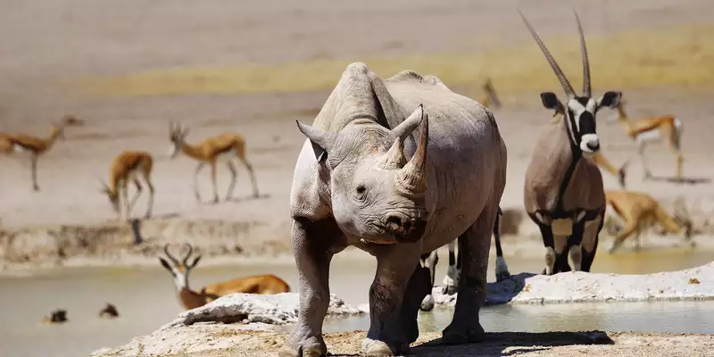Namibia komfortabel erwandern - Bild 13