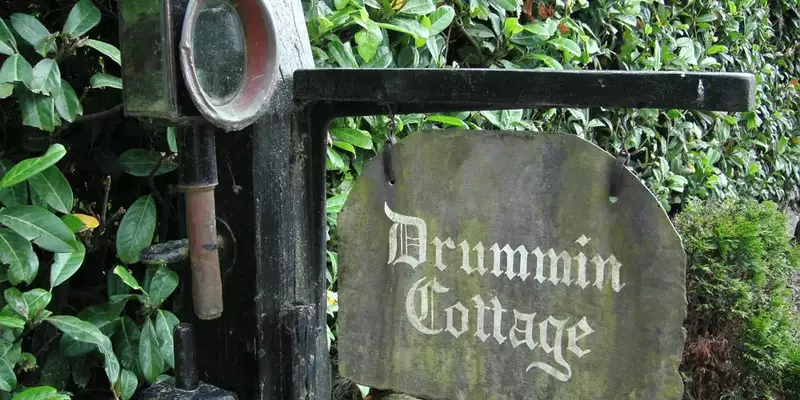 Irland individuell- In 8 Tagen entlang des Wicklow Ways - Bild 4