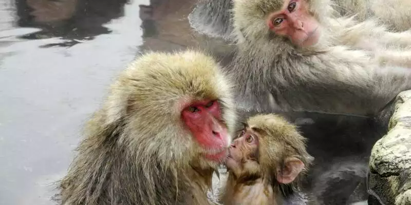 Wandern in den Japanischen Alpen von Tokyo nach Kyoto - Bild 1
