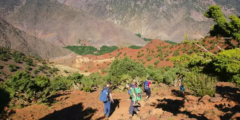 Marokko - Viertausender des Hohen Atlas - Bild 22