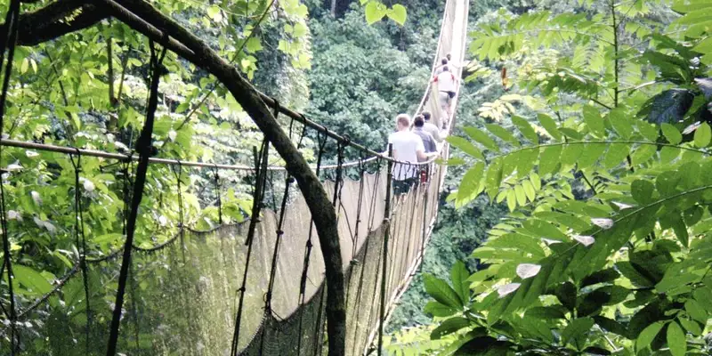 Costa Rica - Entdeckungsreise zu unberührten Nationalparks und lebendiger Kultur - Bild 12