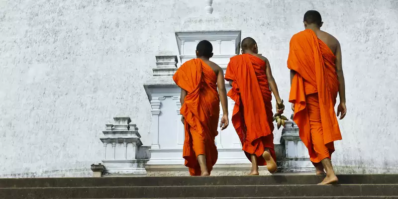 Sri Lankas Highlights erleben – Aktivreise durch Kultur und Natur - Bild 4