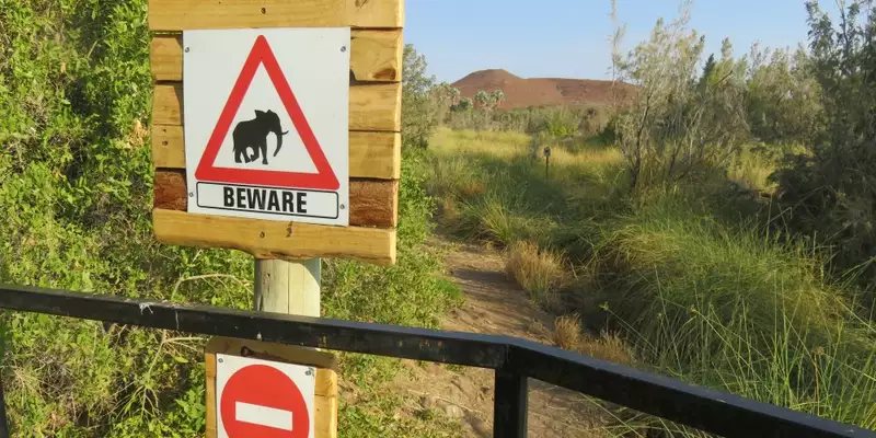 Namibias Naturwunder: Farbenpracht und grenzenlose Weite - Bild 23