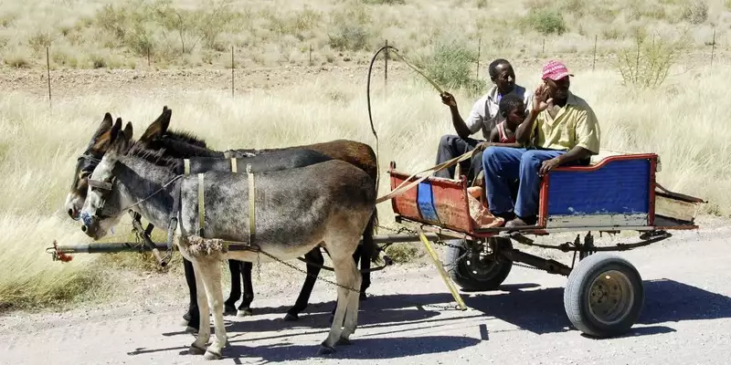 Namibias Naturwunder: Farbenpracht und grenzenlose Weite - Bild 22