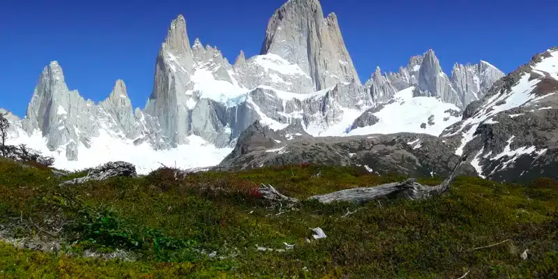 W-Trek Patagonien: Individuelle Trekkingreise Chile - Bild 8