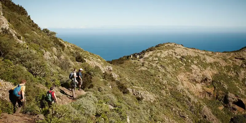 Die Highlights Teneriffas erwandern - Bild 5
