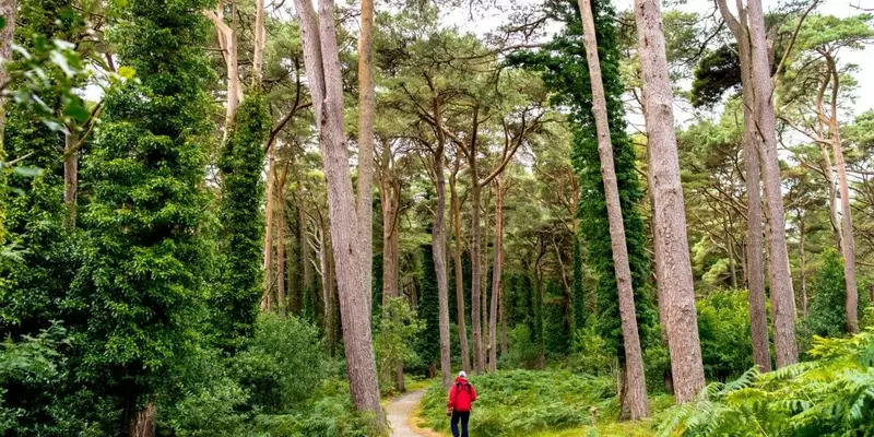 Irlands Highlights erwandern - Bild 7