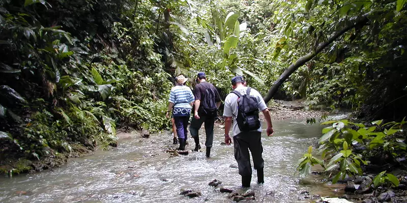 Costa Rica naturnah erwandern - Bild 6