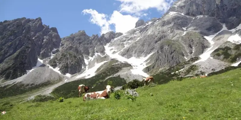 Individuelle Trekkingwoche Bayerische & Salzburger Alpen - Bild 5