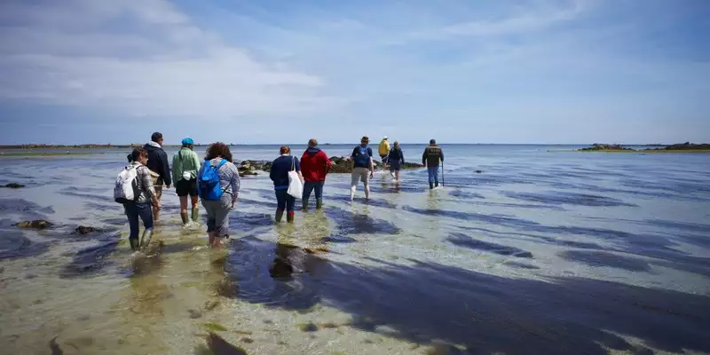 Jersey gemütlich erwandern - Bild 9
