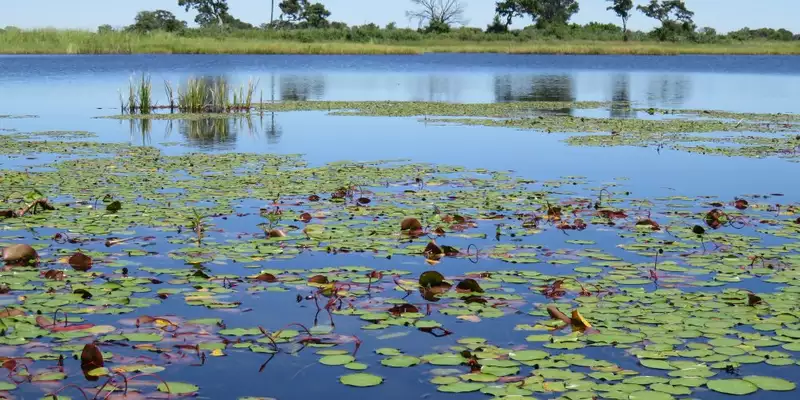 Südafrika, Namibia, Botswana, Simbabwe - Entdeckungsreise durch das südliche Afrika - Bild 10