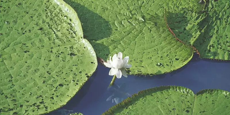 Durchquerung Perus von West nach Ost – von den Anden bis zum Amazonas - Bild 12