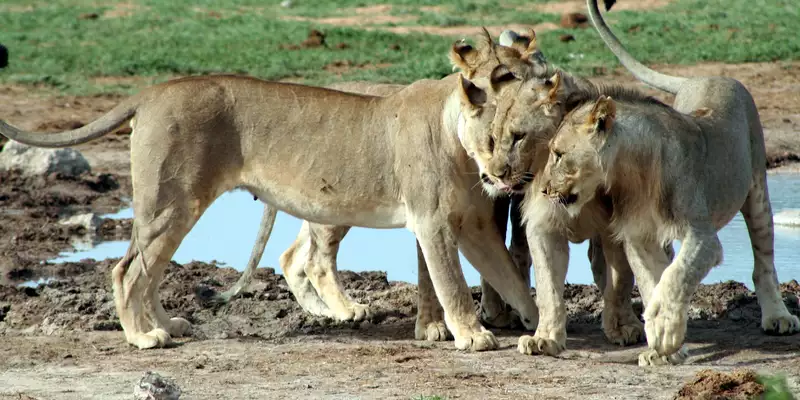 Südafrika komfortabel erwandern - Bild 3