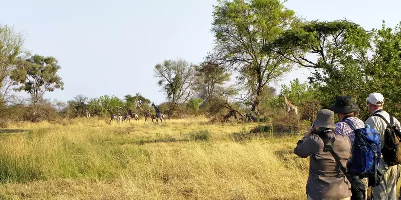 Südafrika - Afrikas Wildnis im Nordosten hautnah erleben - Bild 10